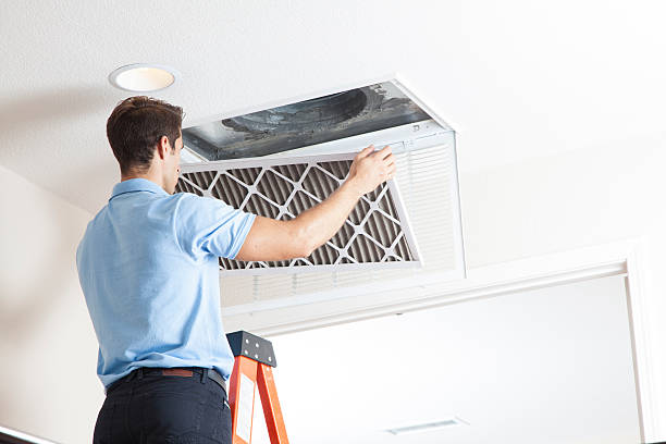 Best Air Filters and Purifiers in Rockwood, TN